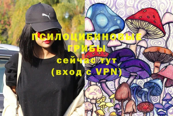 прущие грибы Абинск