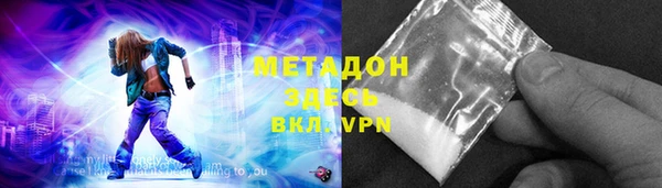прущие грибы Абинск