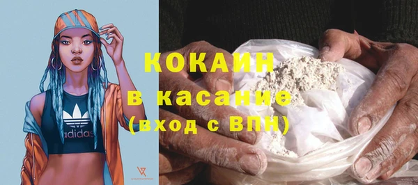 прущие грибы Абинск