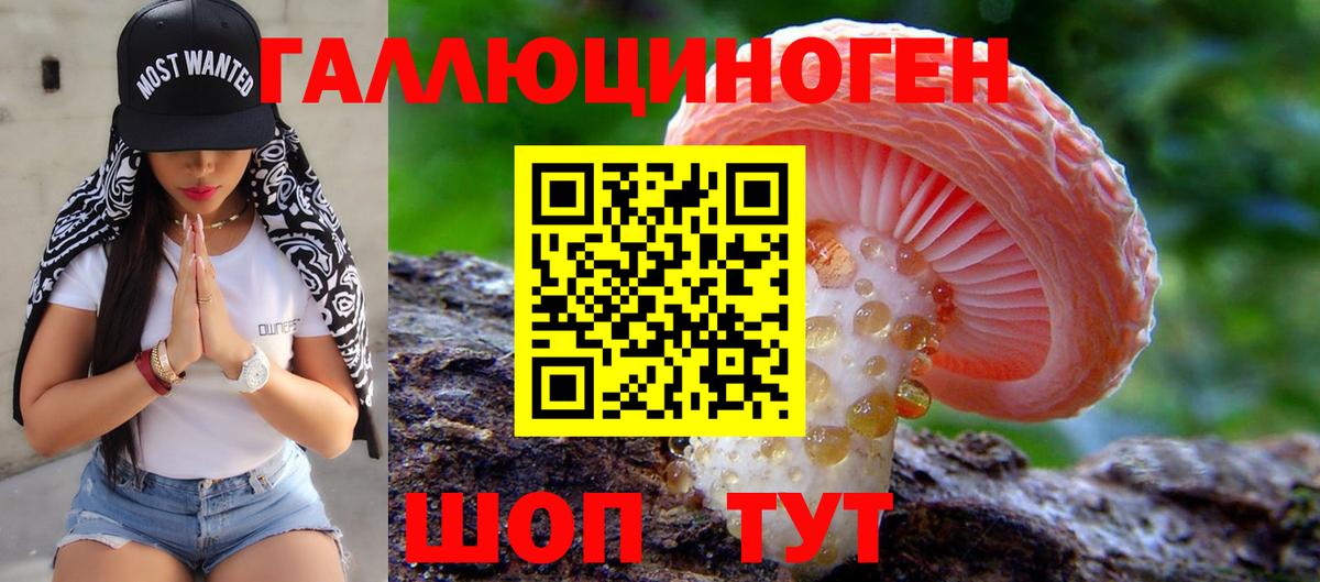 Галлюциногенные грибы Psilocybe Ртищево